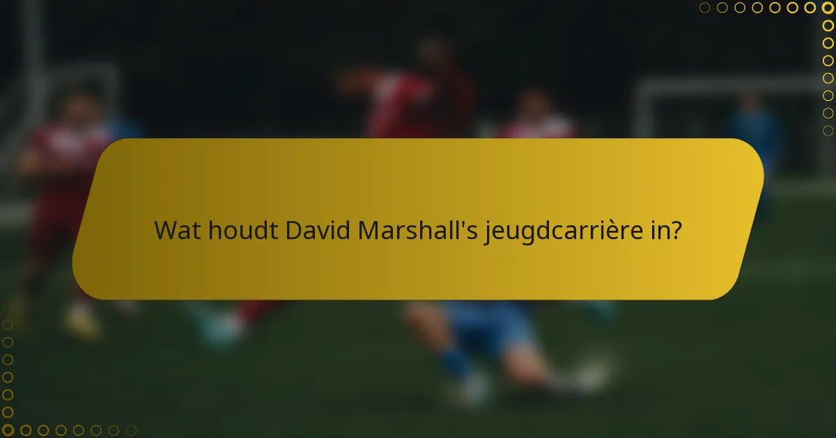 Wat houdt David Marshall's jeugdcarrière in?